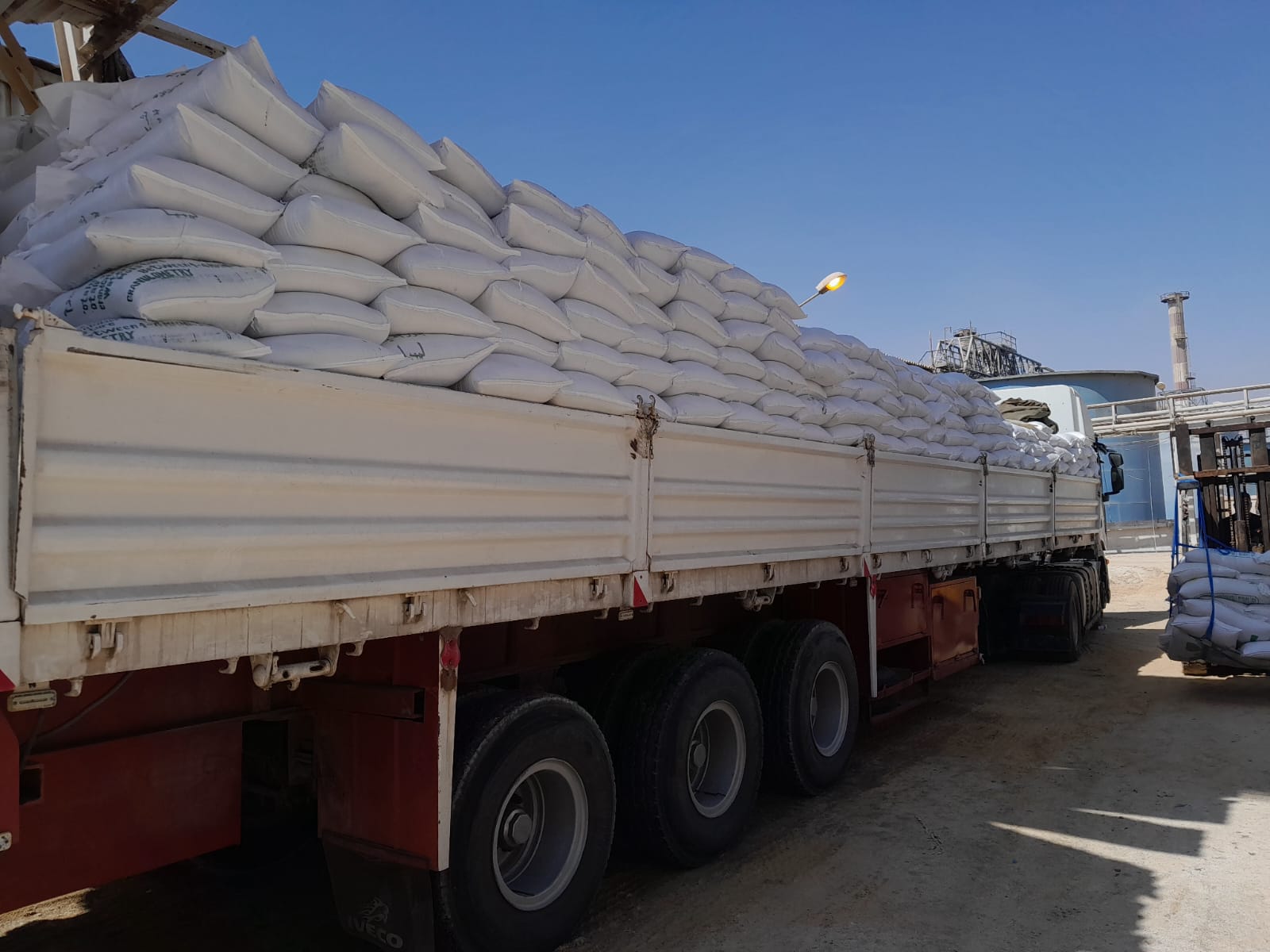 WhatsApp Image 2025-12-20 at 4.23.46 PM (1)